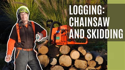 Mastering Chainsaw Skills From Sharpening To Harvesting Ash Trees Youtube