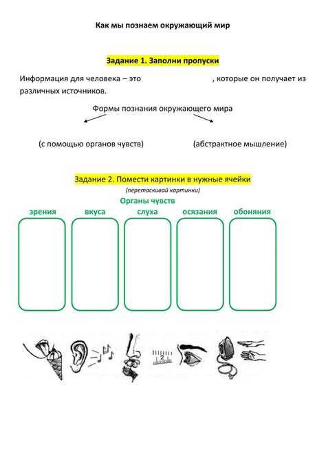 Как мы познаем окружающий мир worksheet | Live Worksheets