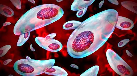 Mind Blowing Sex Can Wipe Memory Clean Live Science