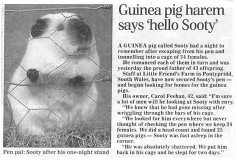 A Stock Photos Funny Newspaper Articles