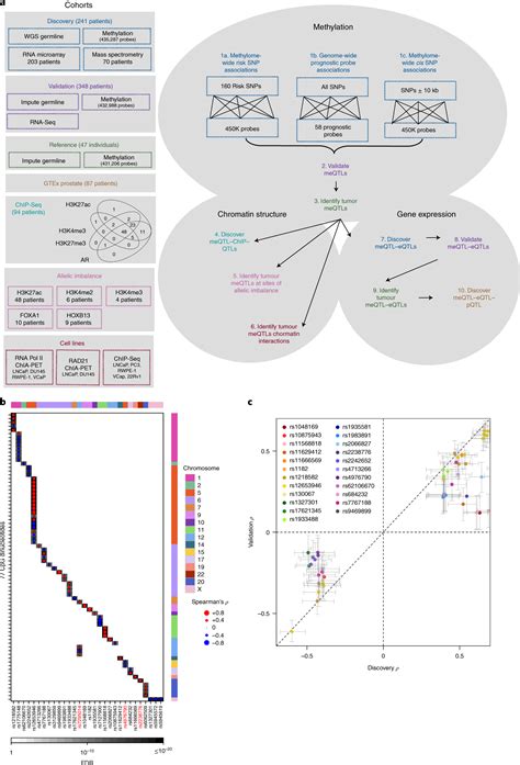 Genome Wide Germline Correlates Of The Epigenetic Landscape Of Prostat