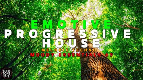 Progressive House Melodic Techno Mix Moody Essentials