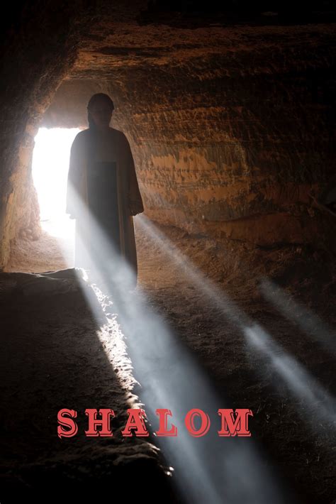 THE STEPS TO PEACE – Eternity Seed