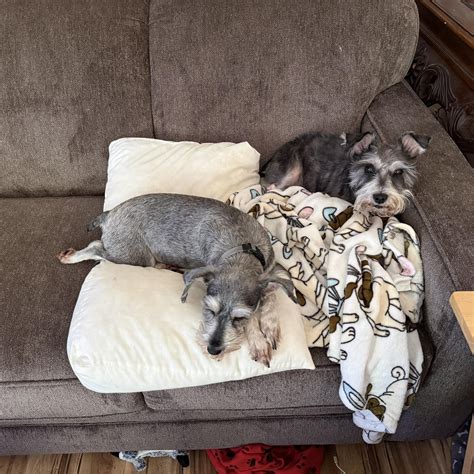 Blount County Sheriff's Department Mugshots: Search for Any Arrest 6