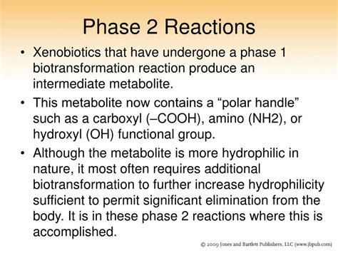 Ppt Chapter Biotransformation Powerpoint Presentation Free