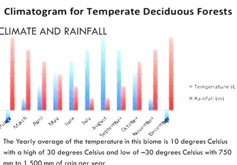 Deciduous Forest Biome Precipitation