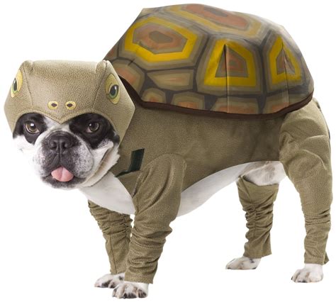 20 Absolutely Amazing Dog Halloween Costumes