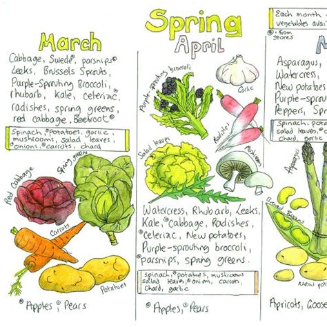 Seasonal Uk Fruit And Vegetable Chart Liz Cook Charts Vegetable