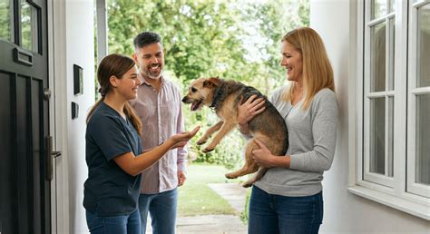 build long term client relationships   pet sitter  dog walker