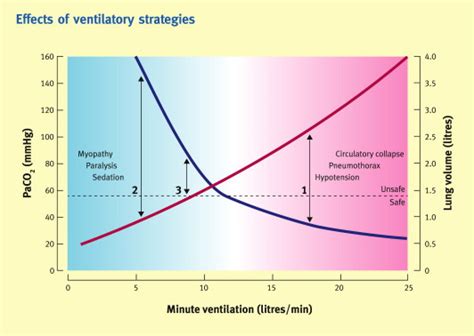 Asthma And Chronic Obstructive Pulmonary Disease In The Intensive Care