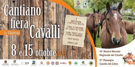 Torna Cantiano Fiera Cavalli Manifestazione Dedicata Al Cavallo Del