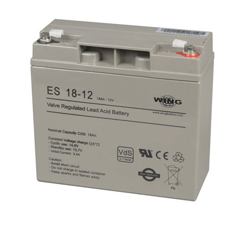 Accu 12V 18Ah - Sectech Group