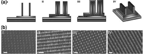 Schematics Of Device Fabrication And Sem Images Of Coaxial Mwnt Asi