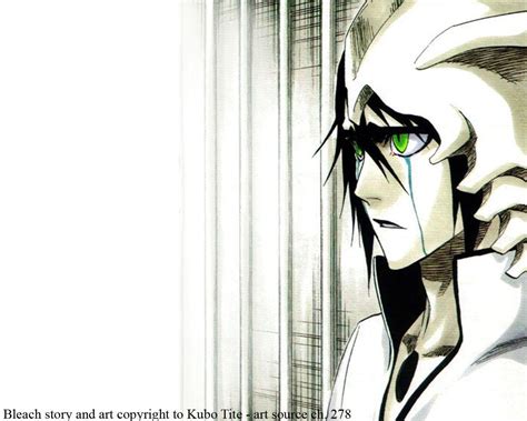 Ulquiorra Schiffer Wallpapers HD - Wallpaper Cave