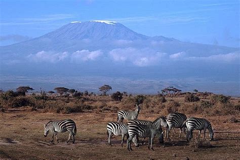 Tagestour Zum Amboseli National Park Ab Nairobi Zur Verf Gung Gestellt