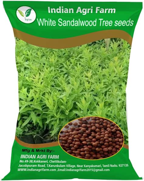 Sri Sai Forestry Red Sandalwood Plant Seeds 100g Lal Chandan Seeds