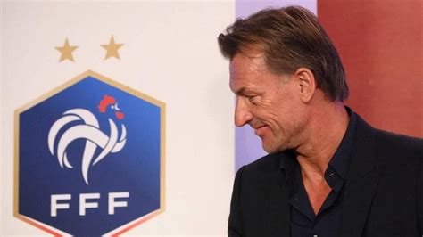 Portrait Hervé Renard Mission Bleue Pour Le Patriote Français