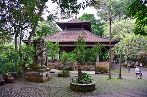 ubud monkey forest  bali sanctuary  grey macaques  ubud  guides