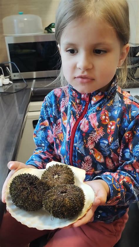 Икра морских ежей очень вкусная - YouTube