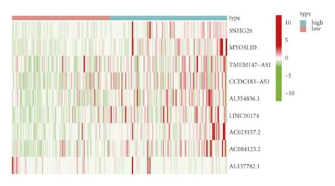 Construction And Validation Of Prognostic Model For Pyroptosis Related