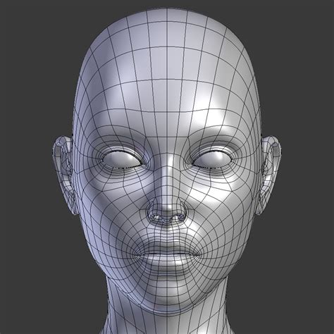 Base Mesh Female Topology 3d Model 30 Blend Dae Fbx Unknown Obj