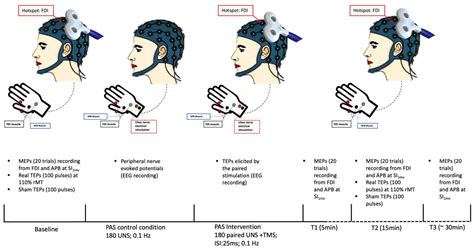 Brain Sciences Free Full Text Motor Cortical Correlates Of Paired