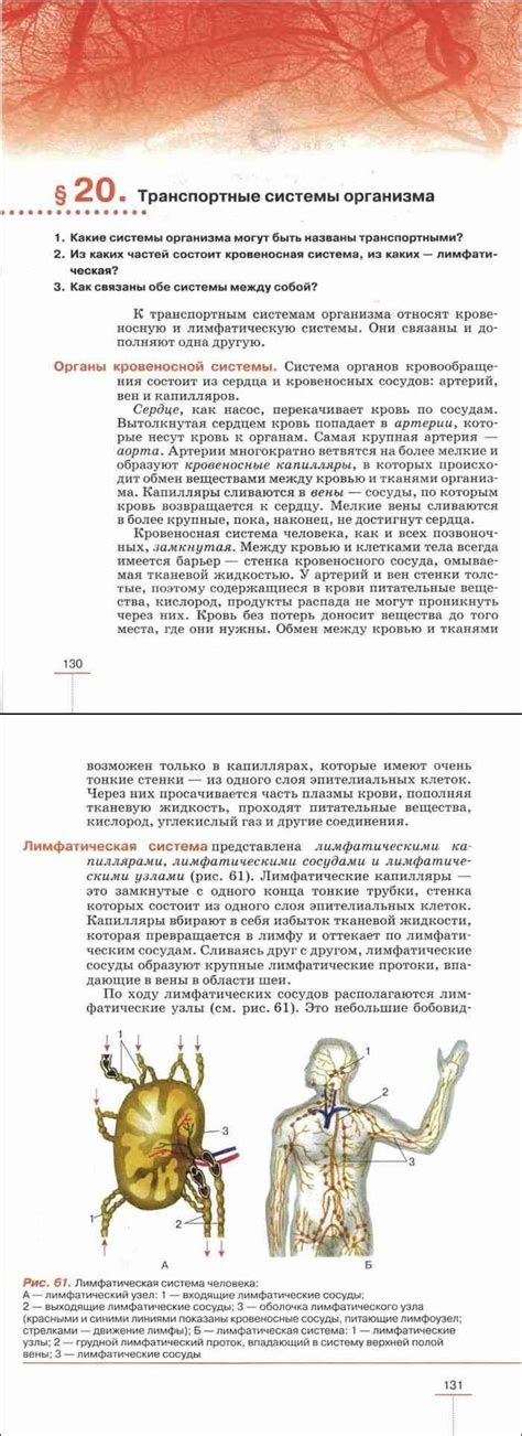 Читать онлайн учебник по биологии за 8 класс Колесов Маш Беляев