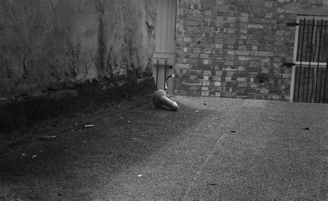 47 Possible Explanations For The Dildo That Appeared Out My Window