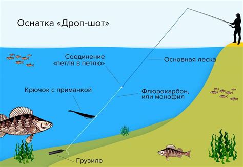 Дропшот: схема монтажа дропшотовой оснастки для ловли судака, карася ...