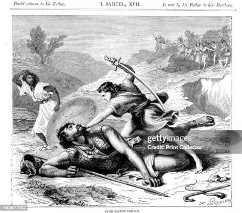 philistine giant goliath stock  high res pictures  images