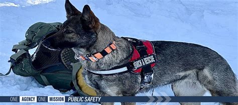 Larimer County Sheriff’s Office: Resources and Information 33