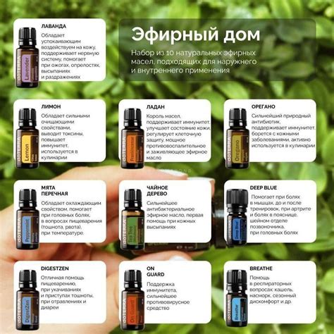 Пин от пользователя Anna Yukshe на доске Essential oils | Эфирные масла ...