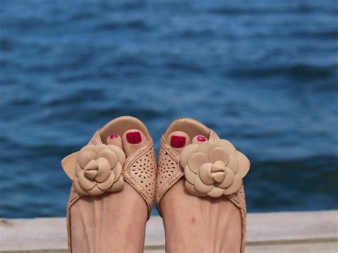 Bird At Heart: A Moment