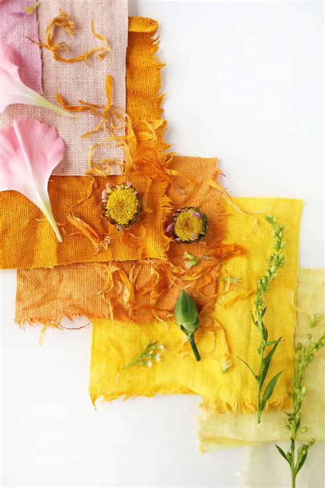 Experimenting With Natural Dyes A Beautiful Mess