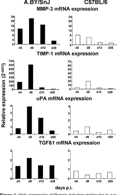 Figure From Osteopontin A Fibrosis Related Marker Molecule In