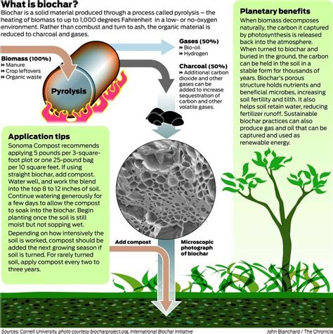 Biochar Aids Soil Fertility Keeps Carbon In Earth