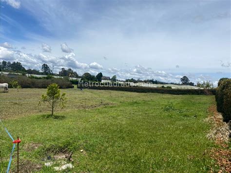 Venta De Lote O Casalote En Llano Grande Rionegro M