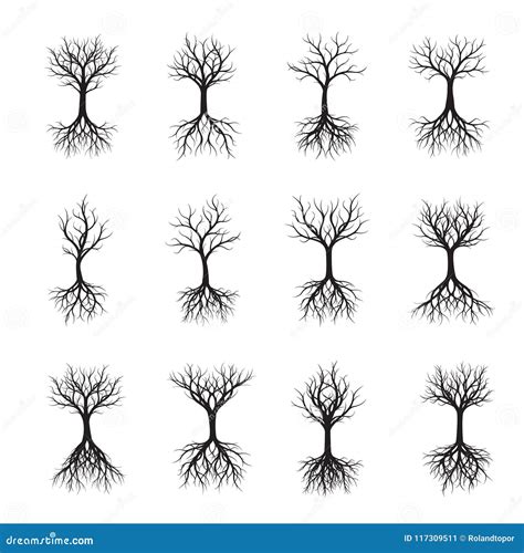 Set Of Black Naked Trees With Root Vector Illustration Stock Illustration Illustration Of