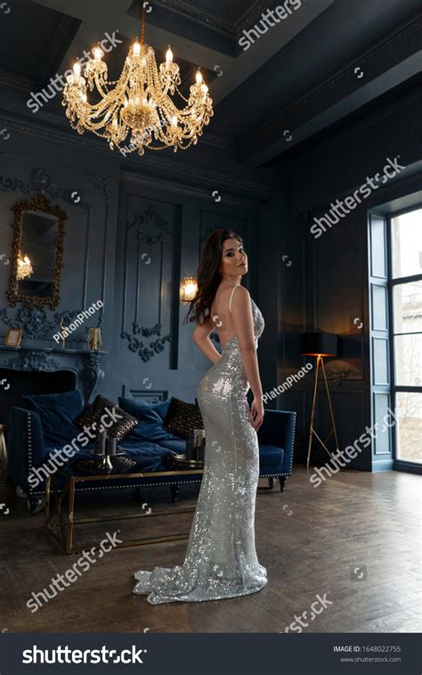 Chic Sexy Brunette Tight Evening Silver Stock Photo Shutterstock