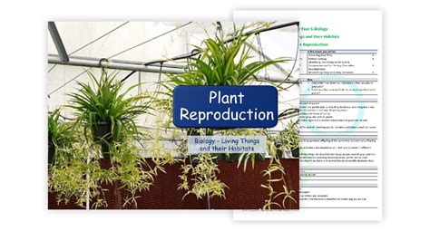 Plant Reproduction Lesson Plan Science Year 5