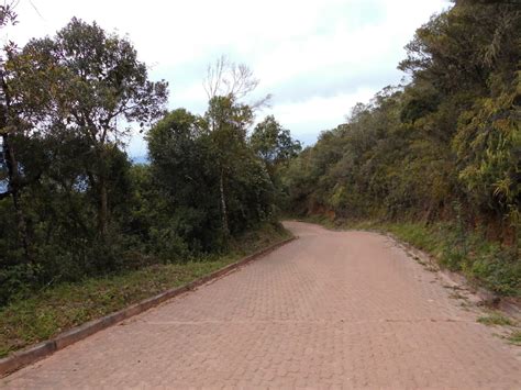 Rua Bico Agudo - Santo Antonio do Pinhal- Pico do Agudo