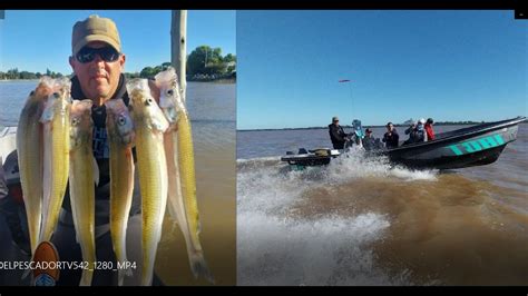 DELPESCADORTV542 PEJERREYES EN BERISSO TIBURONES EN FARO QUERANDI