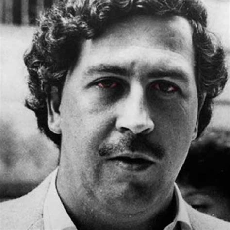 ¿era Pablo Escobar Consumidor De Cannabis Isidro Marín Gutiérrez