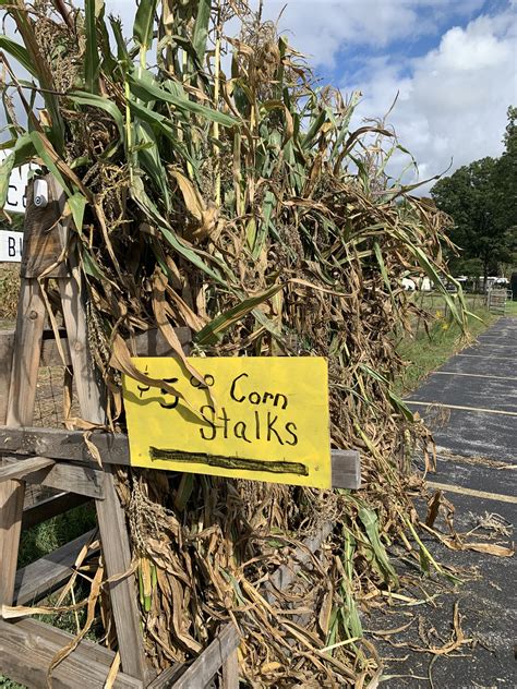 The Lakes Community Garden | Muskegon MI