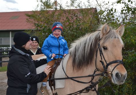 Hippotherapie PhysioHoppen Physiotherapie Und Hippotherapie Veronika