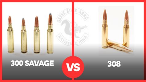 300 Savage Vs 308 Winchester [Which Cartridge Is Better?] - Skunk River ...