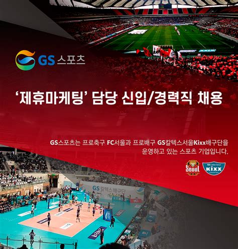 Fc 서울 운영하는 Gs스포츠 제휴마케팅 담당 신입경력사원 공개 채용