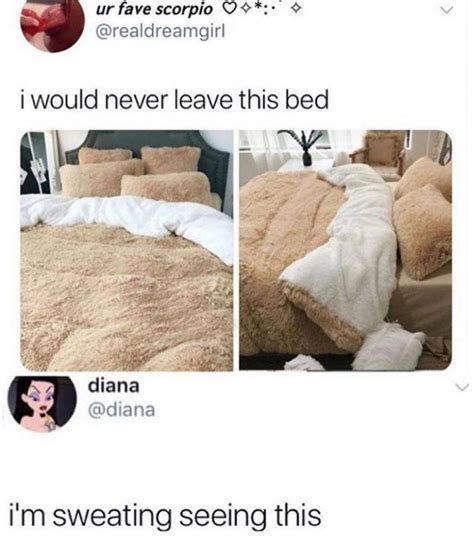Meme Scout Best Memes Quotes And Jokes