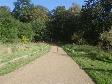 Heading To The Woodland David Pashley Cc By Sa Geograph