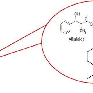 common phytochemicals present  plants  scientific diagram